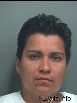 Maria Antonia Castro Mugshot