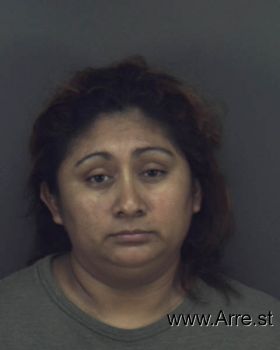 Maria  Diaz-servantes Mugshot