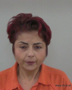 Maria Angel Gil Mugshot