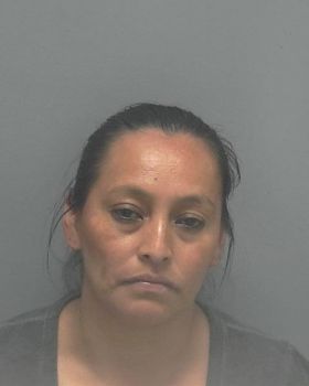 Maria Rosalia Gomez-coroy Mugshot