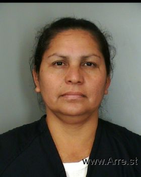 Maria C Lopez Mugshot