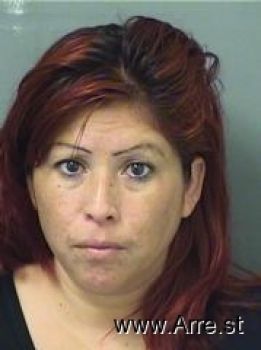 Maria Patricia Sanchezchavez Mugshot