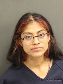 Maria A Sancheznavarrete Mugshot