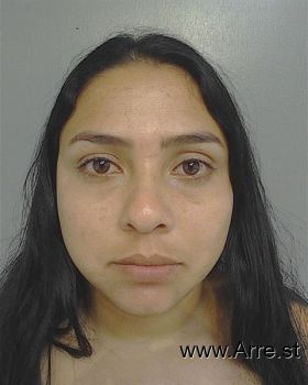 Mariangelis Andreina Torres-torres Mugshot