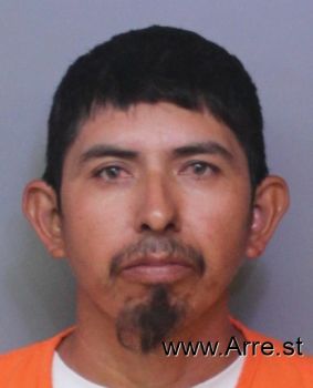 Mario  Gonzalez Mugshot