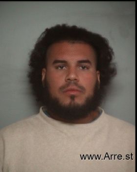 Mario Antonio Guzman-diaz Mugshot