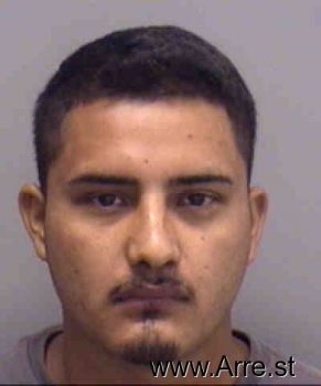 Mario M Hernandez-castaneda Mugshot