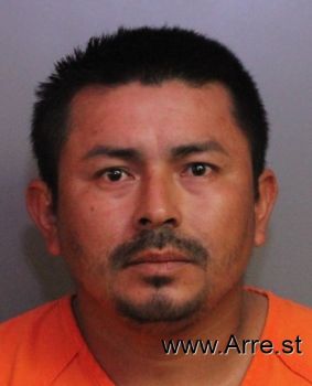 Mario Miguel Hernandez-guzman Mugshot