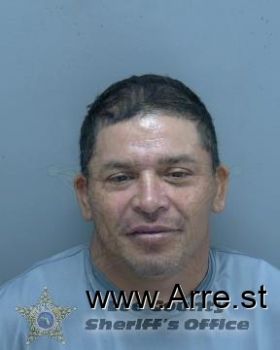 Mario Rolando Ortega Castor Mugshot