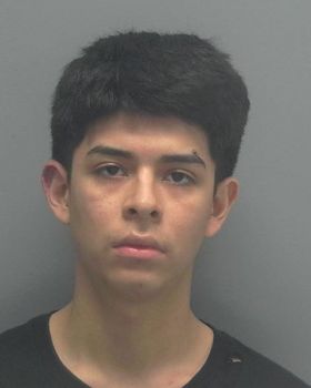 Mario Daniel Rivera Mugshot