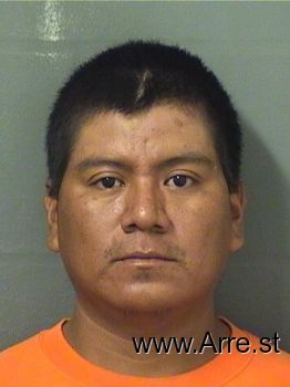 Mario Enrique Velasquezlopez Mugshot