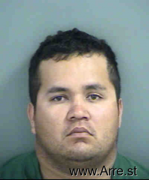 Mario A Villalobosmorales Mugshot