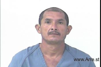 Mario Rene Villamil Mugshot