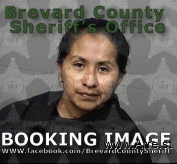 Marleny  Martinez Mugshot