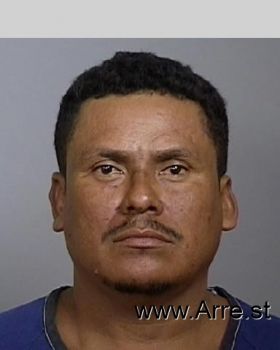 Marlon  Herrera Dambus Mugshot