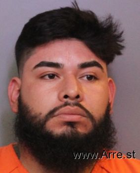 Martin  Chavezflores Mugshot