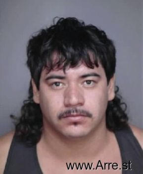 Martin  Estrada Mugshot