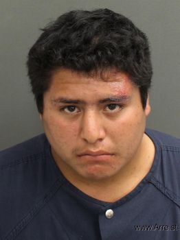 Martin  Flores Mugshot