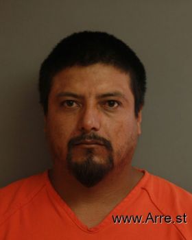 Martin  Gonzalez-telles Mugshot