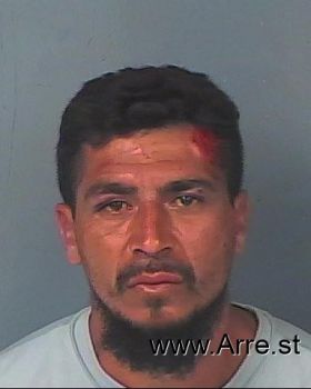 Martin Alonso Ramirez-saldana Mugshot