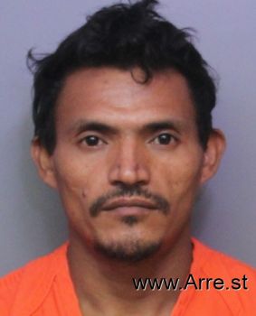 Marvin  Pineda-martinez Mugshot