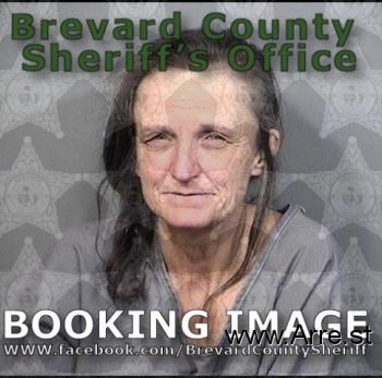 Mary Jo A King Mugshot