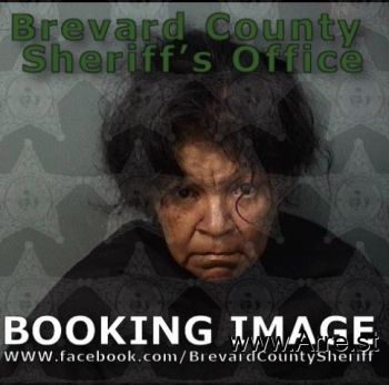 Mary Jane Vasquez Mugshot