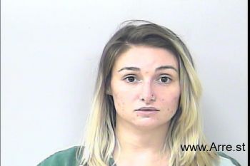 Meagen Leeann Wilsey Mugshot