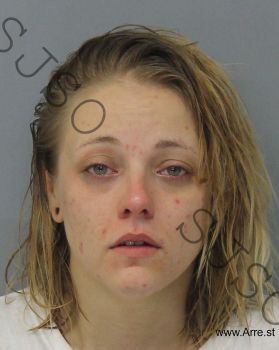 Megan Lindsey Carey Mugshot