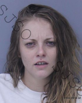 Megan Lindsey Carey Mugshot