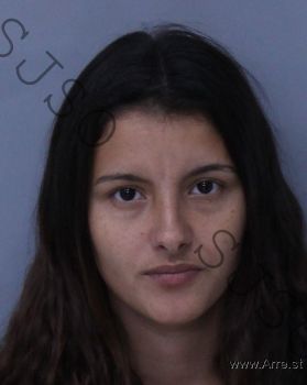 Megan Rose Day Mugshot