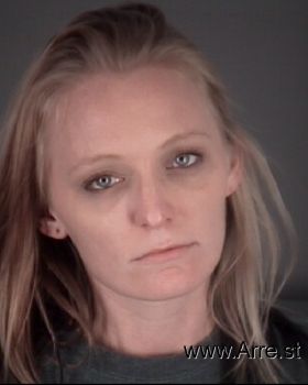 Megan Lee Ann Holland Mugshot