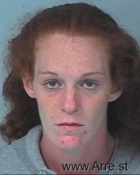 Megan Renee Howard Mugshot