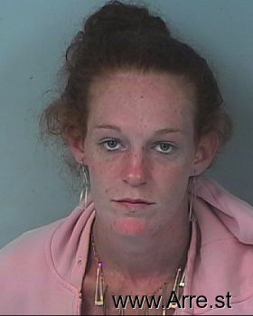 Megan Renee Howard Mugshot