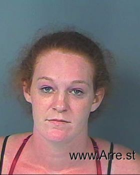 Megan Renee Howard Mugshot