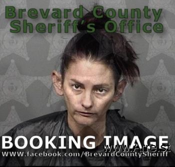 Megan Lee Jenkins Mugshot