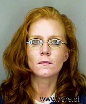 Melissa  Anderson-schildt Mugshot