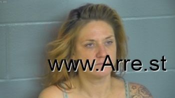 Melissa Cherie Ellis Mugshot