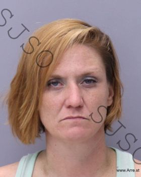 Melissa Cherie Ellis Mugshot