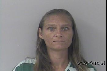 Melissa Dawn Wise Mugshot