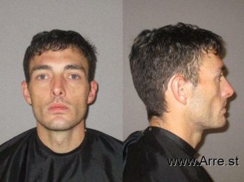 Michael Ritchie Allison Mugshot