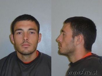 Michael Ritchie Allison Mugshot