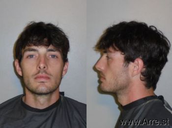 Michael Ritchie Allison Mugshot