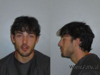 Michael Ritchie Allison Mugshot