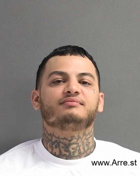 Michael Nikko Arroyo Mugshot