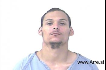 Michael Nicholas Burrows Mugshot