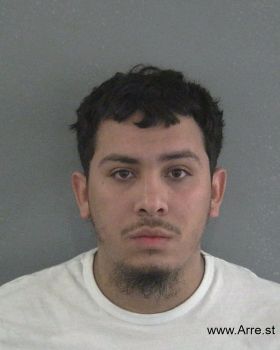 Michael Naveira Deleon Mugshot