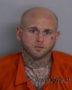 Michael Seth Hodges Mugshot