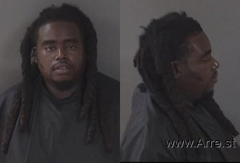 Michael Jr. Holloman Mugshot