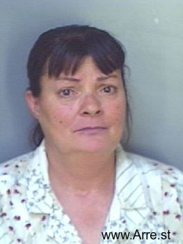 Michael Ann Hunter Mugshot